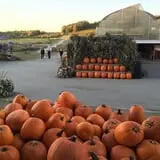 Cider Hill Farm photo