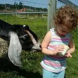 Cider Hill Farm photo