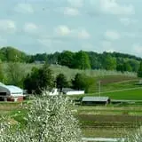 Cider Hill Farm photo