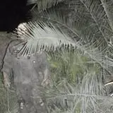 Yuma Nightmares Haunted House photo