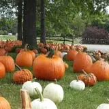 Kirby's Farm Market photo