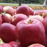 Kirby's Farm Market photo