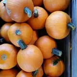 Kirby's Farm Market photo