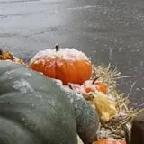 Kirby's Farm Market photo