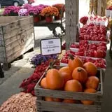 Kirby's Farm Market photo