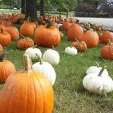Kirby's Farm Market photo