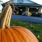 Kirby's Farm Market photo