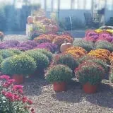 Kirby's Farm Market photo