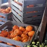 Kirby's Farm Market photo