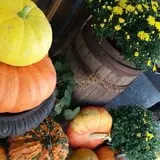 Kirby's Farm Market photo