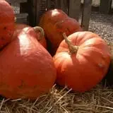 Kirby's Farm Market photo