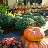 Kirby's Farm Market photo