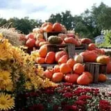 Kirby's Farm Market photo