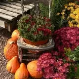 Kirby's Farm Market photo