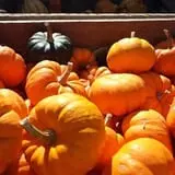 Kirby's Farm Market photo