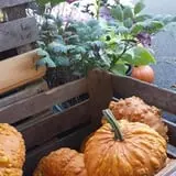 Kirby's Farm Market photo