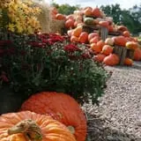 Kirby's Farm Market photo