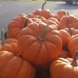 Kirby's Farm Market photo