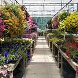 Kirby's Farm Market photo