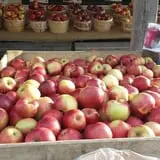 Kirby's Farm Market photo