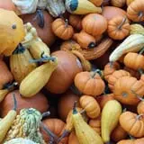 Kirby's Farm Market photo