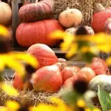 Kirby's Farm Market photo