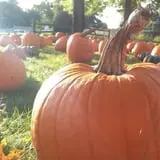 Kirby's Farm Market photo