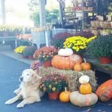 Kirby's Farm Market photo