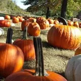 Kirby's Farm Market photo