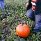 Kirby's Farm Market photo