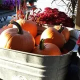 Kirby's Farm Market photo