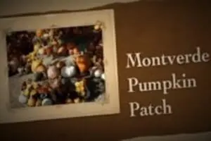 Montverde Pumpkin Patch