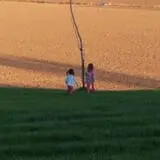 Liberty Corn Maze photo