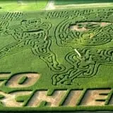 Liberty Corn Maze photo