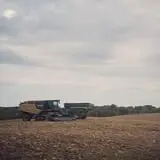 Liberty Corn Maze photo