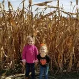 Liberty Corn Maze photo
