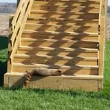 Liberty Corn Maze photo