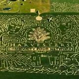 Liberty Corn Maze photo