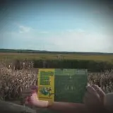 Liberty Corn Maze photo