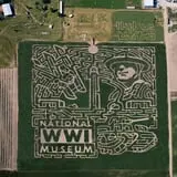 Liberty Corn Maze photo