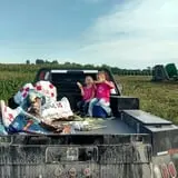 Liberty Corn Maze photo
