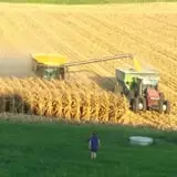 Liberty Corn Maze photo