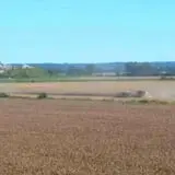 Liberty Corn Maze photo