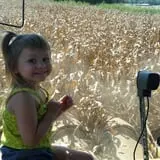 Liberty Corn Maze photo