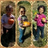 Mood's Farm Market Pumpkin Hayrides & Corn Maze photo