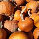 Mood's Farm Market Pumpkin Hayrides & Corn Maze photo