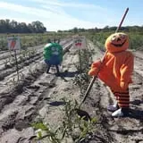 Mood's Farm Market Pumpkin Hayrides & Corn Maze photo
