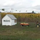 Mood's Farm Market Pumpkin Hayrides & Corn Maze photo