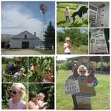 Mood's Farm Market Pumpkin Hayrides & Corn Maze photo