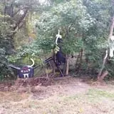 Mood's Farm Market Pumpkin Hayrides & Corn Maze photo